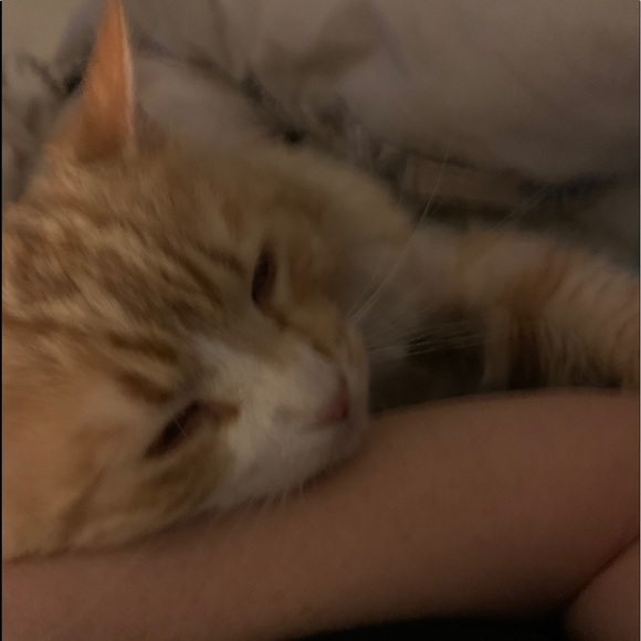 Meet your Posher, Sharlene Campbell. 💕❤️💎🎉😊🎁❄️🥰 - Picture 6 of 12